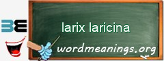 WordMeaning blackboard for larix laricina